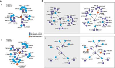 Robust Physiological Metrics From Sparsely Sampled Networks